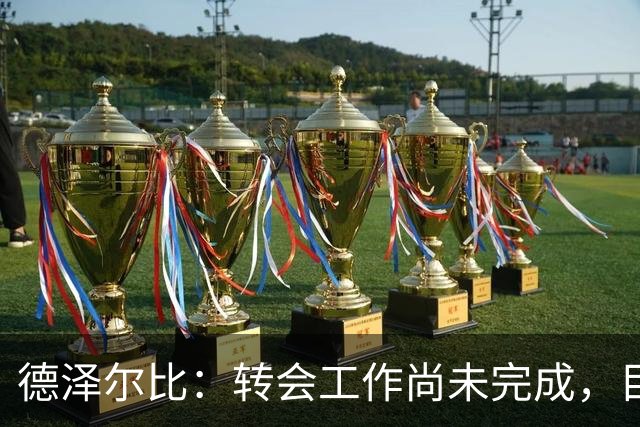 德泽尔比：转会工作尚未完成，目前的目标是加强进攻线